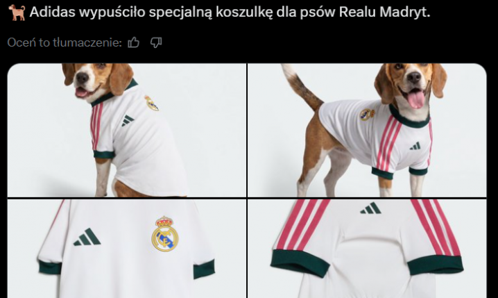 HIT! Taką KLUBOWĄ KOSZULKĘ Adidas wypuścił dla... PSÓW!